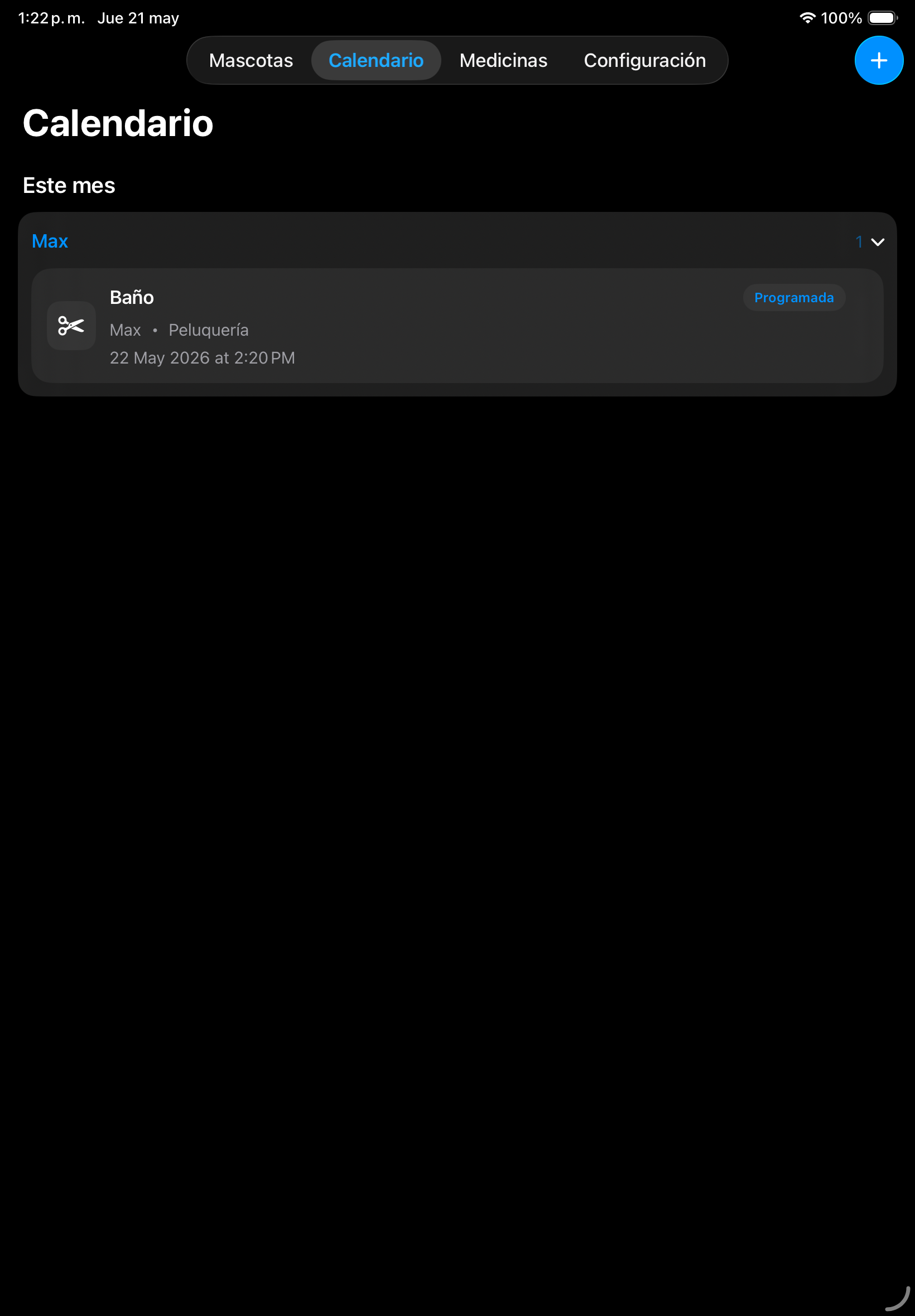 Calendario en iPad